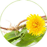 Debloat+ Organic Liquid Drops Ingredient
